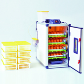 Couveuse Cimuka 120 oeufs