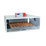 couveuse Maino 55 oeufs