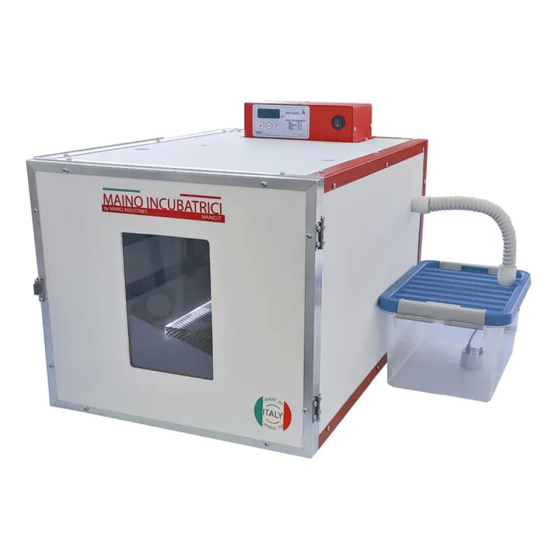 Couveuse Maino DUC 70 avec humidificateur | Ducatillon